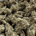 Watermelon Zkittlez