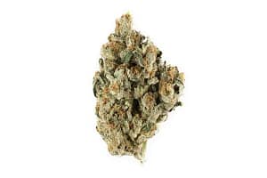 Lemon Ice - Premium Sativa Strain