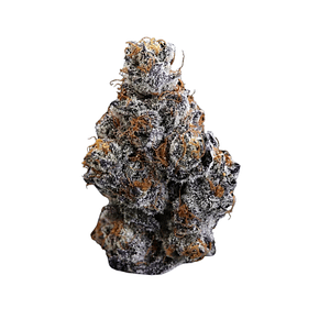 Gelatti - Hybrid Strain