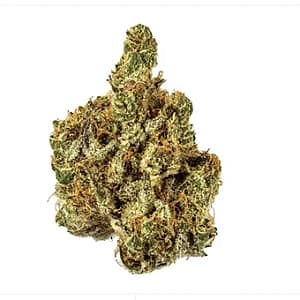 Royal Cookies - Hybrid Strain