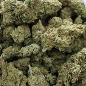 Australia Jack Herer