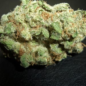 Hawaiian strain