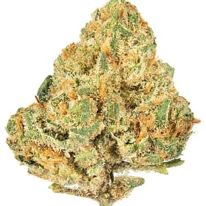 Alien OG
