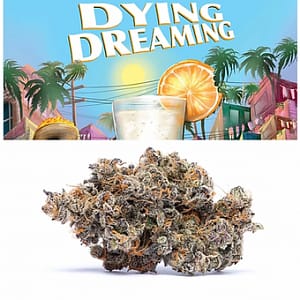 Dying Dreaming