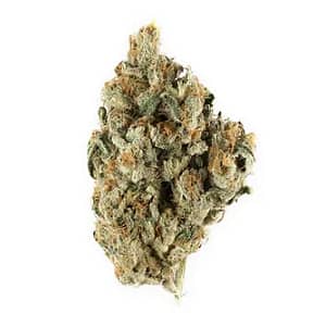Lemon Ice - Premium Sativa Strain