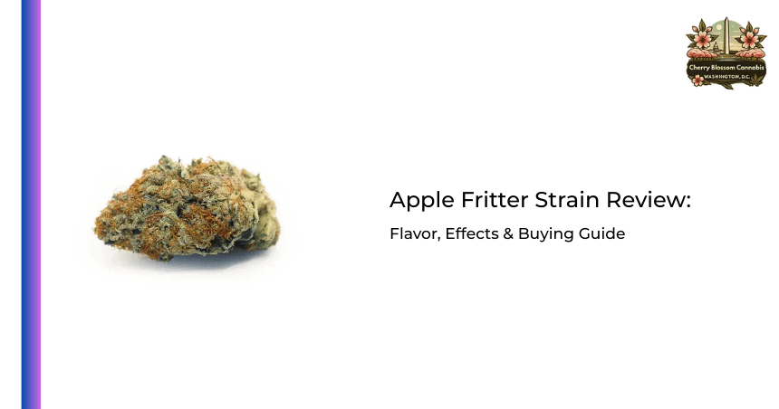 Apple Fritter Strain Review